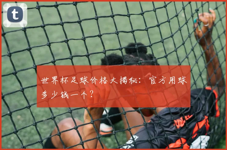 世界杯足球价格大揭秘:官方用球多少钱一个?