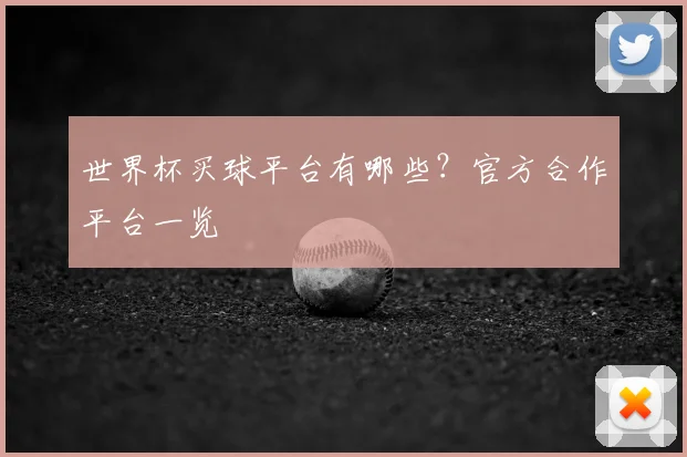世界杯买球平台有哪些?官方合作平台一览