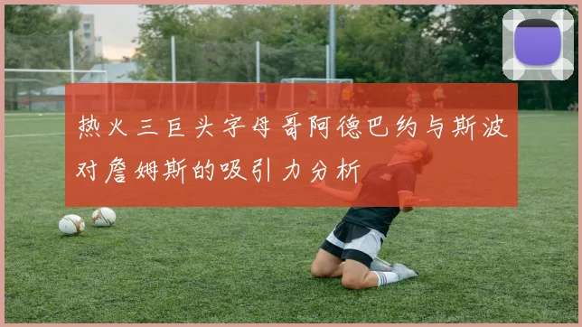 热火三巨头字母哥阿德巴约与斯波对詹姆斯的吸引力分析
