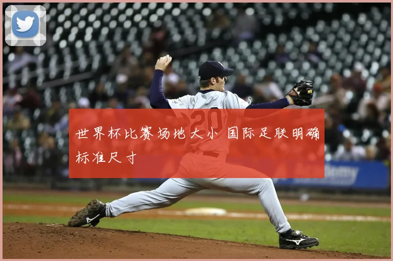 世界杯比赛场地大小 国际足联明确标准尺寸