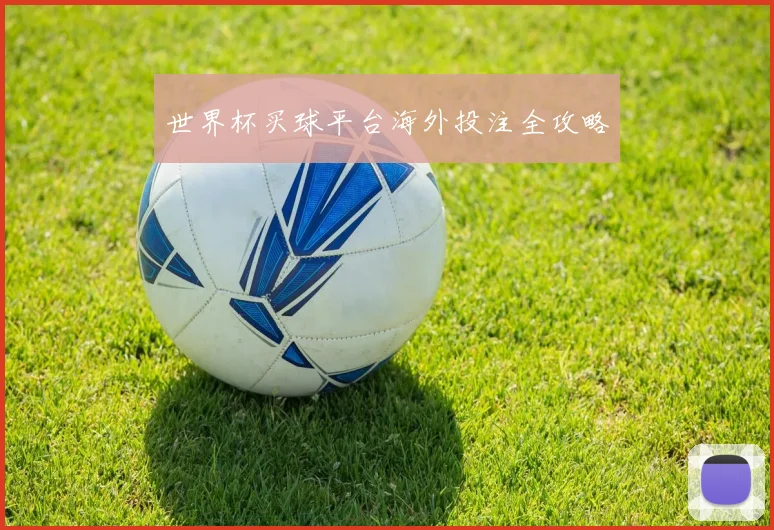 世界杯买球平台海外投注全攻略