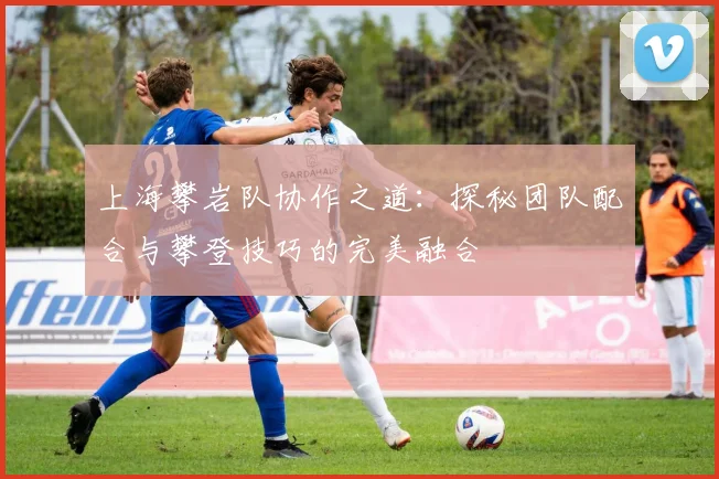 上海攀岩队协作之道：探秘团队配合与攀登技巧的完美融合